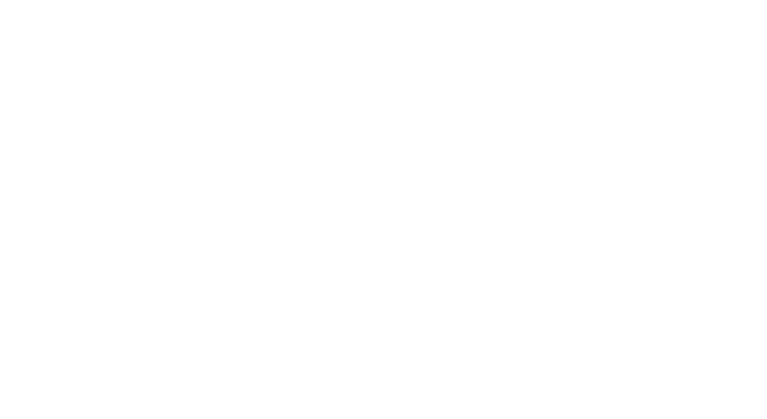 titulo cap 1y2
